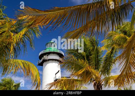 Paesaggio tropicale e faro ('faro') su Harvest Caye - isola privata di proprietà della Norwegian Cruise Line in Belize Foto Stock