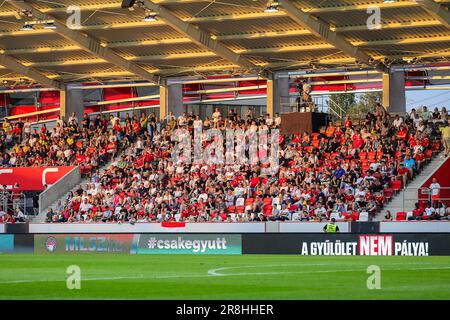 Budapest, Ungheria. 19th giugno, 2023. Budapest, Ungheria, 19st 2023 giugno: Il pubblico ungherese durante il gioco di incontro amichevole della nazionale Under 21 tra Ungheria e Islanda alla Venue Bozsik Arena di Budapest, Ungheria. (Gabor SAS/SPP) Credit: SPP Sport Press Photo. /Alamy Live News Foto Stock