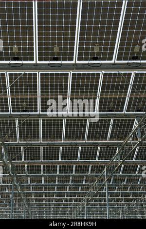 Serra solare fotovoltaica. Merlino Azienda agricola San Maurizio. Merlino. Provincia di Lodi. Italia Foto Stock