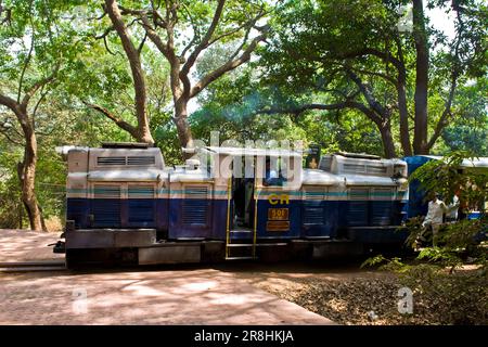 Ferrovia. Matera. Mumbai. India Foto Stock