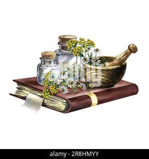 Erbe medicinali, camomilla e tansy. Mortaio di legno e fiale di vetro su un vecchio libro di ricette. Illustrazione disegnata a mano con acquerello. Composizione isolata attivata Foto Stock