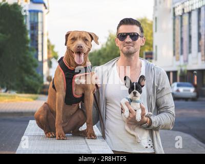 Cane affascinante, cucciolo grazioso e uomo attraente su una passeggiata. Paesaggio urbano sullo sfondo delle automobili. Primo piano, all'aperto. Luce diurna. Concetto di automobile Foto Stock
