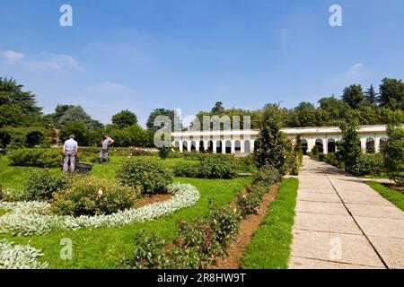 Giardino delle rose NISO Fumagalli. Villa reale. Monza. Italia Foto Stock