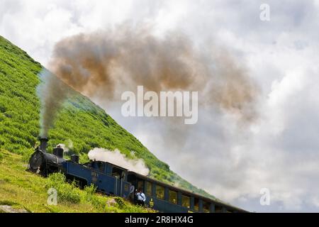 Furka Bergstrecke ferrovia a cremagliera a vapore Gletsch. Vallese. Svizzera Foto Stock