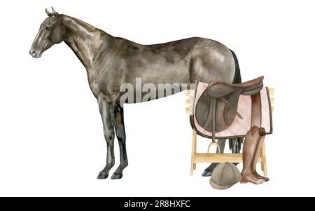 Acquerello illustrazione di un cavallo inglese in piedi della baia di Thoroughbred. Isolato. Attrezzatura equestre sella, sella, stivali in pelle marrone, casco. Foto Stock