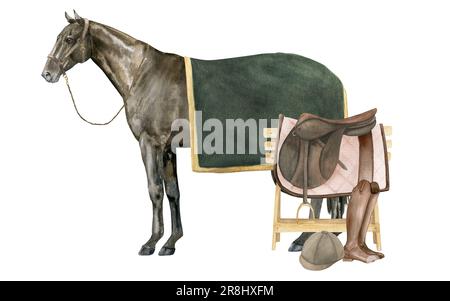 Illustrazione ad acquerello di un cavallo inglese della baia purosangue sotto una coperta verde che indossa un halter marrone. Isolato. Per le stampe sul tema Foto Stock