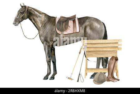 Illustrazione ad acquerello di un cavallo inglese della baia di purosangue. Isolato. Equipaggiamento equestre sella, sottosella, stivali in pelle marrone, casco Foto Stock