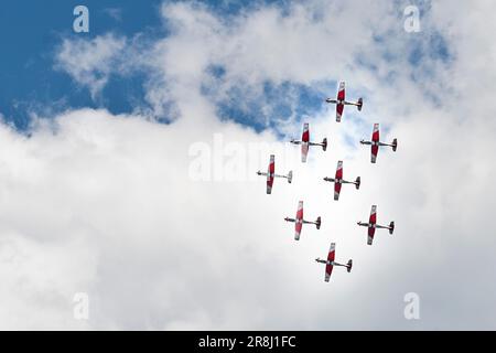 PC 7. Airshow Cielo aperto. Locarno. Svizzera Foto Stock