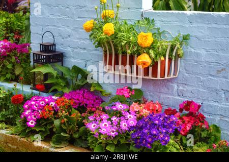 Giardino fiorente con fiori diversi, colori vivaci e forme accattivanti sotto un'incantevole luce ombra Foto Stock