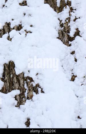 Transizione verso la primavera, Weitnau. Germania Foto Stock