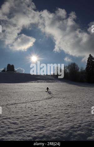 Transizione verso la primavera, Weitnau. Germania Foto Stock