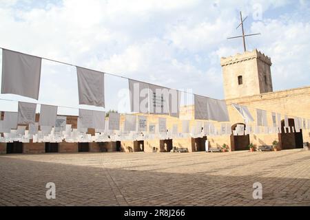 Scopri lo spirito vibrante e le meraviglie architettoniche di Barcellona, dove capolavori modernisti creano un fascino irresistibile Foto Stock