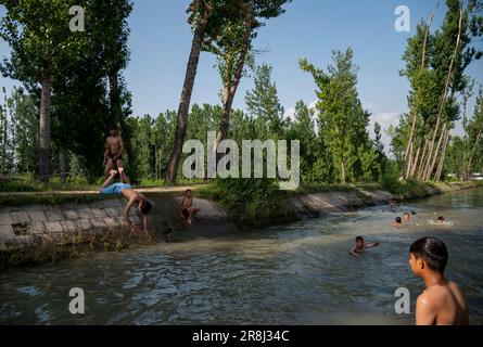 Pulwama, India. 21st giugno, 2023. I ragazzi di Kashmiri hanno visto fare il bagno in un canale durante una giornata calda a Srinagar. La temperatura massima in Srinagar è aumentata a 34,0°C ed è stata di 4,8°C al di sopra della norma per la stagione. La temperatura di oggi ha superato il precedente più alto di 33,3°C registrato solo ieri, ha detto l'ufficiale. (Foto di Idrees Abbas/SOPA Images/Sipa USA) Credit: Sipa USA/Alamy Live News Foto Stock