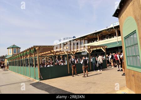 L'Oktoberfest di Monaco sul prato di Theresienwiese è il più grande festival popolare del mondo. Nel dialetto di Monaco, si chiama d Wiesn. Foto Stock