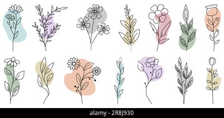 Set di fiori e foglie selvatiche con forme astratte fluide. Illustrazione vettoriale Illustrazione Vettoriale