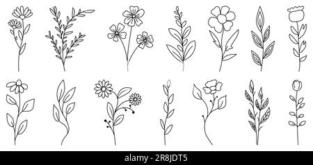 Set di fiori e foglie selvatiche. Linee disegnate a mano rami e fioritura. Può essere utilizzato per inviti a matrimoni, biglietti d'auguri, poster e altri. Illustrazione Vettoriale