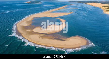 FRANCIA. GIRONDE (33) BACINO DI ARCACHON. VEDUTA AEREA DELLE RIVE DI SABBIA DELLA BANCA D'ARGUIN Foto Stock