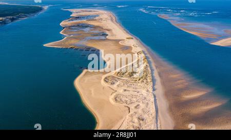 FRANCIA. GIRONDE (33) BACINO DI ARCACHON. VEDUTA AEREA DELLE RIVE DI SABBIA DELLA BANCA D'ARGUIN Foto Stock