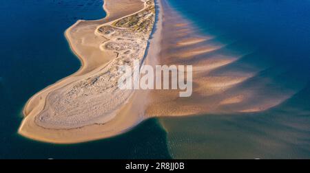 FRANCIA. GIRONDE (33) BACINO DI ARCACHON. VEDUTA AEREA DELLE RIVE DI SABBIA DELLA BANCA D'ARGUIN Foto Stock