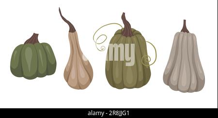 Set vettoriale di zucche intime con ricci a stelo isolati dallo sfondo. Raccolta autunno raccolto. Verdure cartoni animati dal giardino per adesivi, Illustrazione Vettoriale