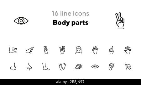 Set di icone linea delle parti anatomiche Illustrazione Vettoriale