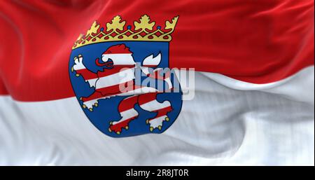 Primo piano della bandiera dello Stato d'Assia che sventola nel vento. L'Assia è uno stato tedesco. rendering illustrazione 3d. Messa a fuoco selettiva. Tessuto svolazzante Foto Stock