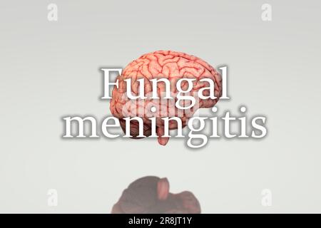 Sfondo di meningite fungina, sintomi di meningite, meningite batterica Foto Stock