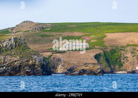 La nuova casa del guardiano e la spiaggia di North Haven a Skomer, un'isola al largo della costa di Pembrokeshire, vicino a Marloes Galles occidentale, famosa per la sua fauna selvatica Foto Stock