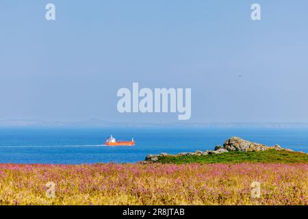 La petroliera Ursula Essberger al largo della costa di Skomer, un'isola del Pembrokeshire, vicino a Marloes e St Brides nel Galles occidentale, famosa per la sua fauna selvatica Foto Stock