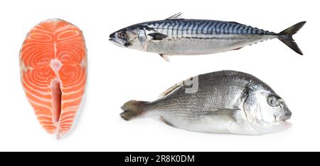 Collage con diversi tipi di pesce crudo su sfondo bianco Foto Stock