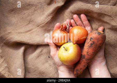 cipolle, carote e mela sporche nelle mani della nonna sul tavolo, raccolta, verdura e frutta Foto Stock