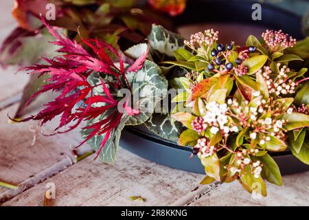 Una splendida scena di vita morta con una serie di fiori colorati disposti in modo artistico in una ciotola, esposti davanti a un secchio di metallo Foto Stock