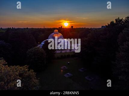 Il sole tramonta la sera del solstizio d'estate dietro la palma a Sefton Park, Liverpool, Merseyside. Foto Stock