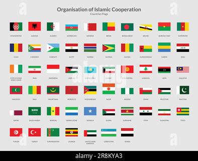 Icona della bandiera del rettangolo dei paesi OIC Illustrazione Vettoriale