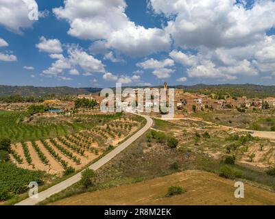 Veduta aerea del villaggio di Bovera, a Les Garrigues, circondato da campi di alberi da frutto (Lleida, Catalogna, Spagna) ESP: Vista aérea de Bovera Foto Stock