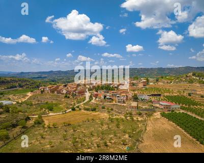 Veduta aerea del villaggio di Bovera, a Les Garrigues, circondato da campi di alberi da frutto (Lleida, Catalogna, Spagna) ESP: Vista aérea de Bovera Foto Stock