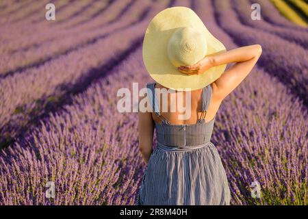 Nel mezzo del pittoresco campo di lavanda, una giovane donna che indossava una sundress riposa con grazia le mani sul suo cappello di paglia, assaporando la natura mozzafiato che la circonda in una giornata estiva illuminata dal sole. Foto Stock