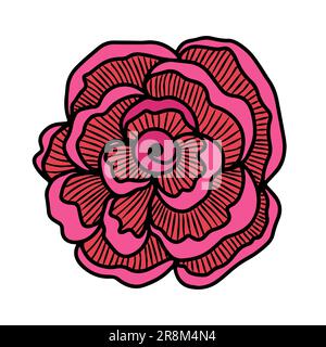 Testa di fiore di rosa. Fiore floreale botanico. Inchiostro disegnato a mano art. Rosa isolato elemento di illustrazione isolato su bianco. Illustrazione Vettoriale
