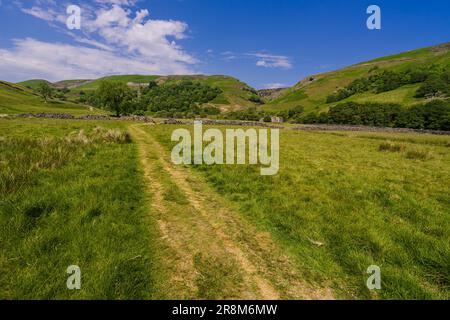 Uno dei sentieri che attraversano Swaledale nel Yorkshire Dales National Park Foto Stock