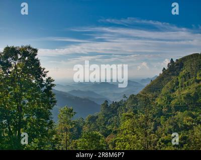 Vicino a Ella, Sri Lanka, una vista mattutina verso sud attraverso la foresta pluviale e le piantagioni di tè, oltre il Little Adam's Peak sulla destra per la bassa nebbia intorno alla collina Foto Stock