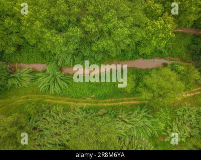 Veduta aerea zenithal del fiume Tenes a Santa Eulàlia de Roncana (Vallès Oriental, Barcellona, Catalogna, Spagna). Esempio: Vista aérea del Río Tenes Foto Stock