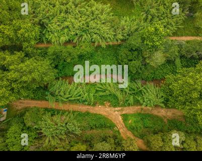 Veduta aerea zenithal del fiume Tenes a Santa Eulàlia de Roncana (Vallès Oriental, Barcellona, Catalogna, Spagna). Esempio: Vista aérea del Río Tenes Foto Stock