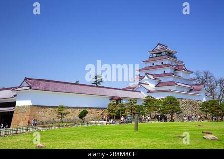 Castello di Tsuruga e fiori di ciliegia Foto Stock