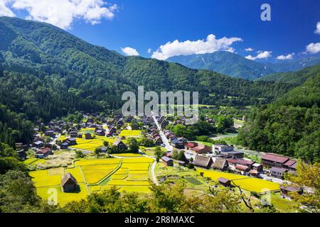 Villaggio di Shirakawago nel colore dorato dell'autunno Foto Stock