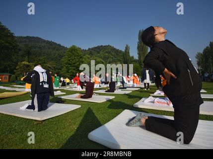 Srinagar, India. 21st giugno, 2023. I partecipanti eseguono esercizi di yoga per celebrare la Giornata Internazionale dello Yoga durante un evento sulle rive del Lago dal a Srinagar (Foto di Mubashir Hassan/Pacific Press) Credit: Pacific Press Media Production Corp./Alamy Live News Foto Stock