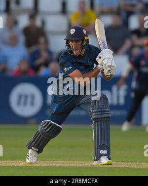 Northampton 21-Giugno 2023 : Wayne Madsen di Derbyshire Falcons durante il Vitality T20 Blast match tra Northamptonshire Steelbacks vs Derbyshire Falcons al County Ground Northampton Inghilterra . Foto Stock