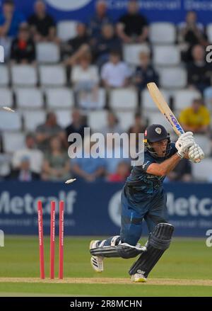 Northampton 21-Giugno 2023 : Wayne Madsen di Derbyshire Falcons fuori per 35 bowled fuori da David Willey di Northamptonshire per 35 durante la partita di Blast di Vitality T20 fra Northamptonshire Steelbacks contro Derbyshire Falcons al terreno di contea Northampton Inghilterra . Foto Stock