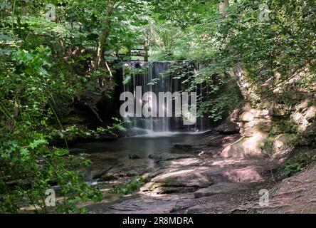 Plas Power Waterfall (Nant Mill e Bersham Waterfall), Plas Power Woods, Coedpoeth, Galles Foto Stock