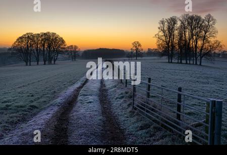 Freddo mattina presto paesaggio dell'Oxfordshire, campi all'alba in gelo Foto Stock
