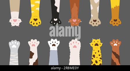 Soffice set di zampe per gatti multicolore Illustrazione Vettoriale